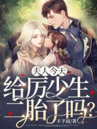 夫人今天给厉少生二胎了吗?
