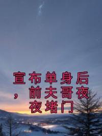 宣布单身后,前夫哥夜夜堵门