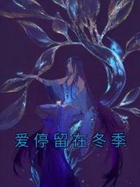 爱停留在冬季