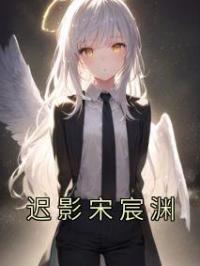 迟影宋宸渊