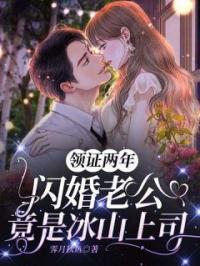 领证两年,闪婚老公竟是冰山上司