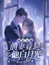 溺爱无疾:前妻竟是他白月光
