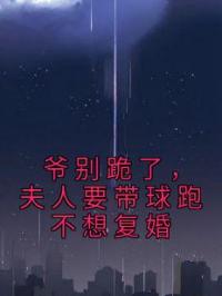 爷别跪了,夫人要带球跑不想复婚