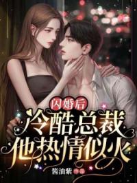 闪婚后:冷酷总裁他热情似火