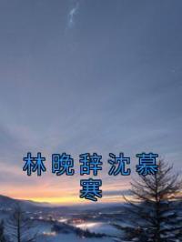 林晚辞沈慕寒