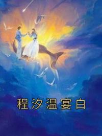 程汐温宴白