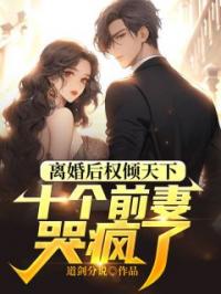 离婚后权倾天下,十个前妻哭疯了