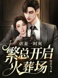 虐妻一时爽,繁总开启火葬场