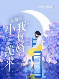 离婚后,小三跪求我复婚
