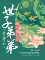 重生休夫后,世子弟弟跪求我负责