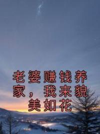 老婆赚钱养家,我来貌美如花