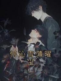 何沁雪薄曜尘