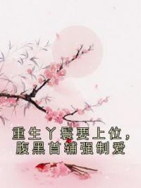 重生丫鬟要上位,腹黑首辅强制爱
