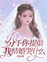 分手你提的,我结婚哭什么