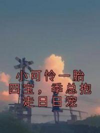 小可怜一胎四宝,季总抱走日日宠