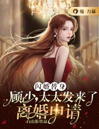 闪婚替身:顾少,太太发来了离婚申请