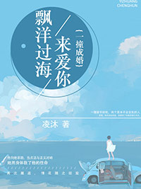 飘洋过海来爱你:一撞成婚