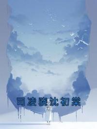 司凌骁沈初棠