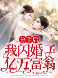 分手后,我闪婚了亿万富翁