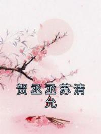 贺丞丞苏清允