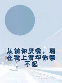 从前你厌我,现在我上清华你攀不起