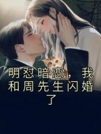 明怼暗恋,我和周先生闪婚了