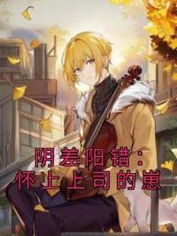 阴差阳错:怀上上司的崽