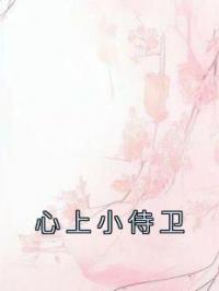 心上小侍卫