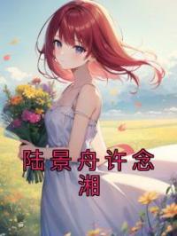 陆景舟许念湘