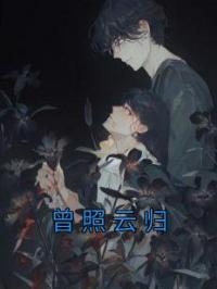 曾照云归