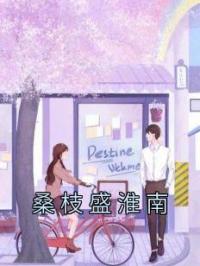 桑枝盛淮南