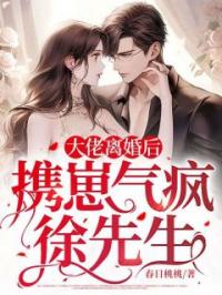 大佬离婚后,携崽气疯徐先生