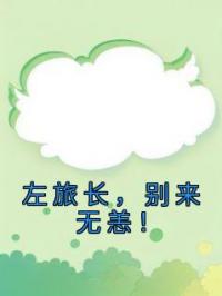 左旅长,别来无恙!