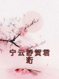 宁云舒贺君珩