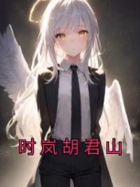 时岚胡君山
