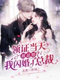 领证当天被退婚?我闪婚了总裁