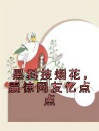 黑科技烟花,震惊网友亿点点