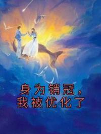 身为销冠,我被优化了