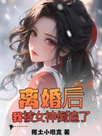 离婚后,我被女神倒追了