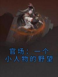 官场:一个小人物的野望