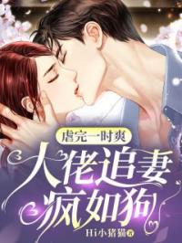 虐完一时爽,大佬追妻疯如狗