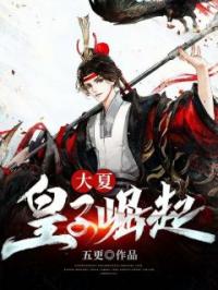 大夏:皇子崛起