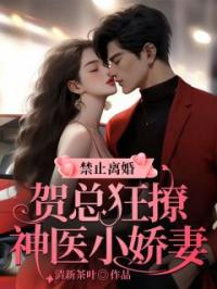 禁止离婚!贺总狂撩神医小娇妻