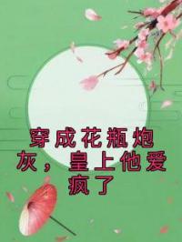 穿成花瓶炮灰,皇上他爱疯了