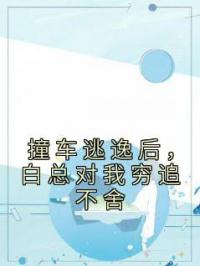 撞车逃逸后,白总对我穷追不舍