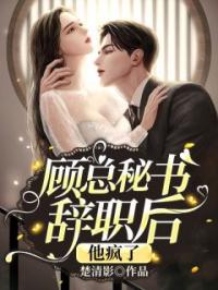顾总秘书辞职后，他疯了小说完整版在线阅读（主角叶星辞顾凛寒）