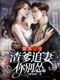 腹黑三宝：渣爹追妻你别怂完整全文阅读 舒婳顾震霆小说结局无删节