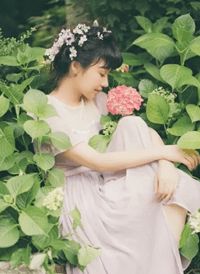 三岁小福娃，成了豪门团宠粟宝苏深意免费在线全文阅读