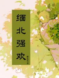 缅北强欢小说完整版在线阅读（主角青青）
