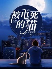 《被电死的猫》最新章节 被电死的猫徐艳荣张名硕全文阅读